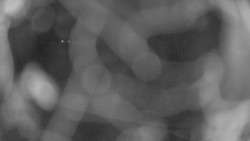 Areál koupaliště Holešov