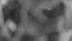 Areál koupaliště Holešov