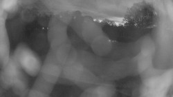 Areál koupaliště Holešov