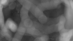 Areál koupaliště Holešov