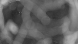 Areál koupaliště Holešov