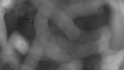 Areál koupaliště Holešov