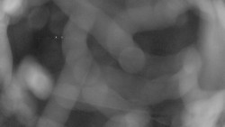 Areál koupaliště Holešov