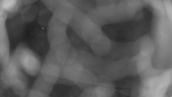 Areál koupaliště Holešov