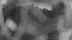 Areál koupaliště Holešov