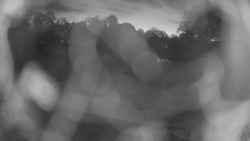 Areál koupaliště Holešov