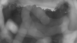 Areál koupaliště Holešov