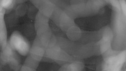 Areál koupaliště Holešov