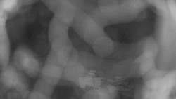 Areál koupaliště Holešov