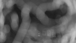 Areál koupaliště Holešov