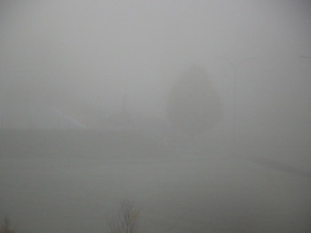 Snímek    31.10.2025 v 06:45