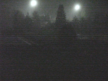 Snímek 7.11.2025 v 01:15