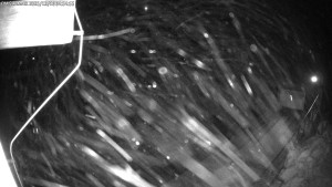 Dolní Morava - Chata Slaměnka - 16.12.2025 v 05:00 Dolní Morava - Chata Slaměnka - 16.12.2025 v 05:00