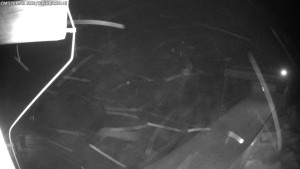 Dolní Morava - Chata Slaměnka - 11.1.2026 v 01:30 Dolní Morava - Chata Slaměnka - 11.1.2026 v 01:30