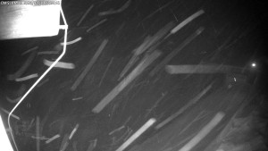 Dolní Morava - Chata Slaměnka - 11.1.2026 v 03:30 Dolní Morava - Chata Slaměnka - 11.1.2026 v 03:30