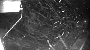 Dolní Morava - Chata Slaměnka - 11.1.2026 v 17:45 Dolní Morava - Chata Slaměnka - 11.1.2026 v 17:45