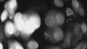 Horské atrakce Ramzová - Dolní část sjezdovky Skiareálu Ramzová - 7.2.2024 v 20:00 Horské atrakce Ramzová - Dolní část sjezdovky Skiareálu Ramzová - 7.2.2024 v 20:00