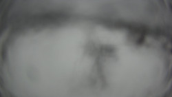 Dolní část sjezdovky Skiareálu Ramzová