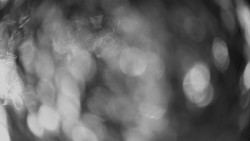 Dolní část sjezdovky Skiareálu Ramzová