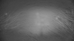 Dolní část sjezdovky Skiareálu Ramzová