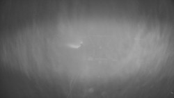 Dolní část sjezdovky Skiareálu Ramzová