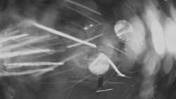 Dolní část sjezdovky Skiareálu Ramzová