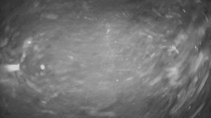 Horské atrakce Ramzová - Dolní část sjezdovky Skiareálu Ramzová - 8.1.2026 v 19:00 Horské atrakce Ramzová - Dolní část sjezdovky Skiareálu Ramzová - 8.1.2026 v 19:00