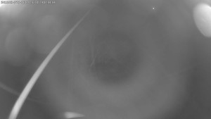 Dolní Morava - Stezka v oblacích - 29.10.2025 v 02:00 Dolní Morava - Stezka v oblacích - 29.10.2025 v 02:00