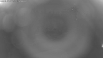 Snímek 5.11.2025 v 00:30