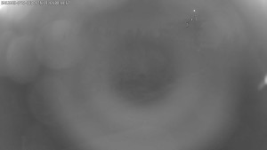 Dolní Morava - Stezka v oblacích - 5.11.2025 v 01:00 Dolní Morava - Stezka v oblacích - 5.11.2025 v 01:00