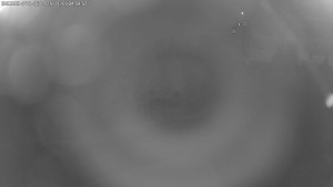 Dolní Morava - Stezka v oblacích - 5.11.2025 v 05:00 Dolní Morava - Stezka v oblacích - 5.11.2025 v 05:00