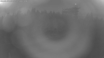 Snímek 6.11.2025 v 06:00