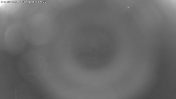 Snímek 7.11.2025 v 00:30