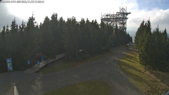 Snímek 7.11.2025 v 13:00