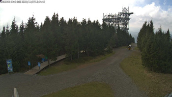 Snímek 7.11.2025 v 13:15