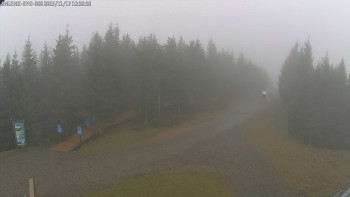 Snímek 17.11.2025 v 11:00