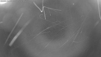 Snímek 17.11.2025 v 17:45