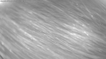 Snímek 23.11.2025 v 01:15