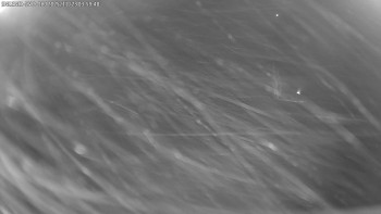 Snímek 23.11.2025 v 04:00