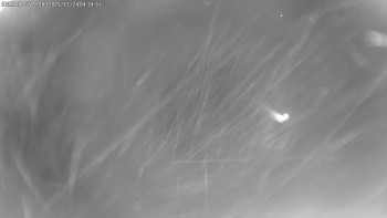 Snímek 24.11.2025 v 04:15