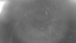 Dolní Morava - Stezka v oblacích - 28.11.2025 v 00:15 Dolní Morava - Stezka v oblacích - 28.11.2025 v 00:15