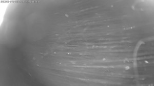 Dolní Morava - Stezka v oblacích - 28.11.2025 v 00:30 Dolní Morava - Stezka v oblacích - 28.11.2025 v 00:30