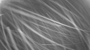 Dolní Morava - Stezka v oblacích - 30.12.2025 v 00:30 Dolní Morava - Stezka v oblacích - 30.12.2025 v 00:30