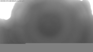 Dolní Morava - Stezka v oblacích - 5.1.2026 v 00:15 Dolní Morava - Stezka v oblacích - 5.1.2026 v 00:15