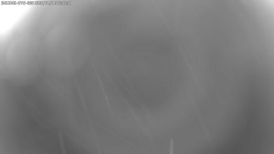 Dolní Morava - Stezka v oblacích - 11.1.2026 v 06:00 Dolní Morava - Stezka v oblacích - 11.1.2026 v 06:00