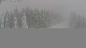 Dolní Morava - Stezka v oblacích - 11.1.2026 v 11:00 Dolní Morava - Stezka v oblacích - 11.1.2026 v 11:00