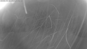 Dolní Morava - Stezka v oblacích - 11.1.2026 v 16:45 Dolní Morava - Stezka v oblacích - 11.1.2026 v 16:45