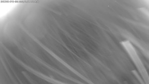 Dolní Morava - Stezka v oblacích - 11.1.2026 v 17:15 Dolní Morava - Stezka v oblacích - 11.1.2026 v 17:15