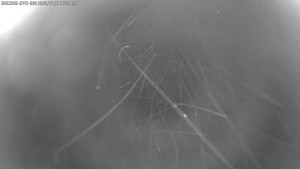 Dolní Morava - Stezka v oblacích - 11.1.2026 v 17:30 Dolní Morava - Stezka v oblacích - 11.1.2026 v 17:30