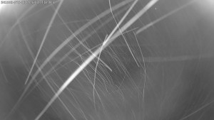 Dolní Morava - Stezka v oblacích - 21.3.2026 v 03:15 Dolní Morava - Stezka v oblacích - 21.3.2026 v 03:15